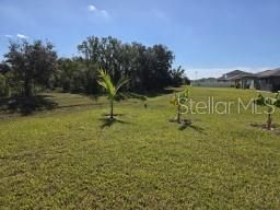 12588 Timber Moss Lane , Riverview, FL 33579 Photo