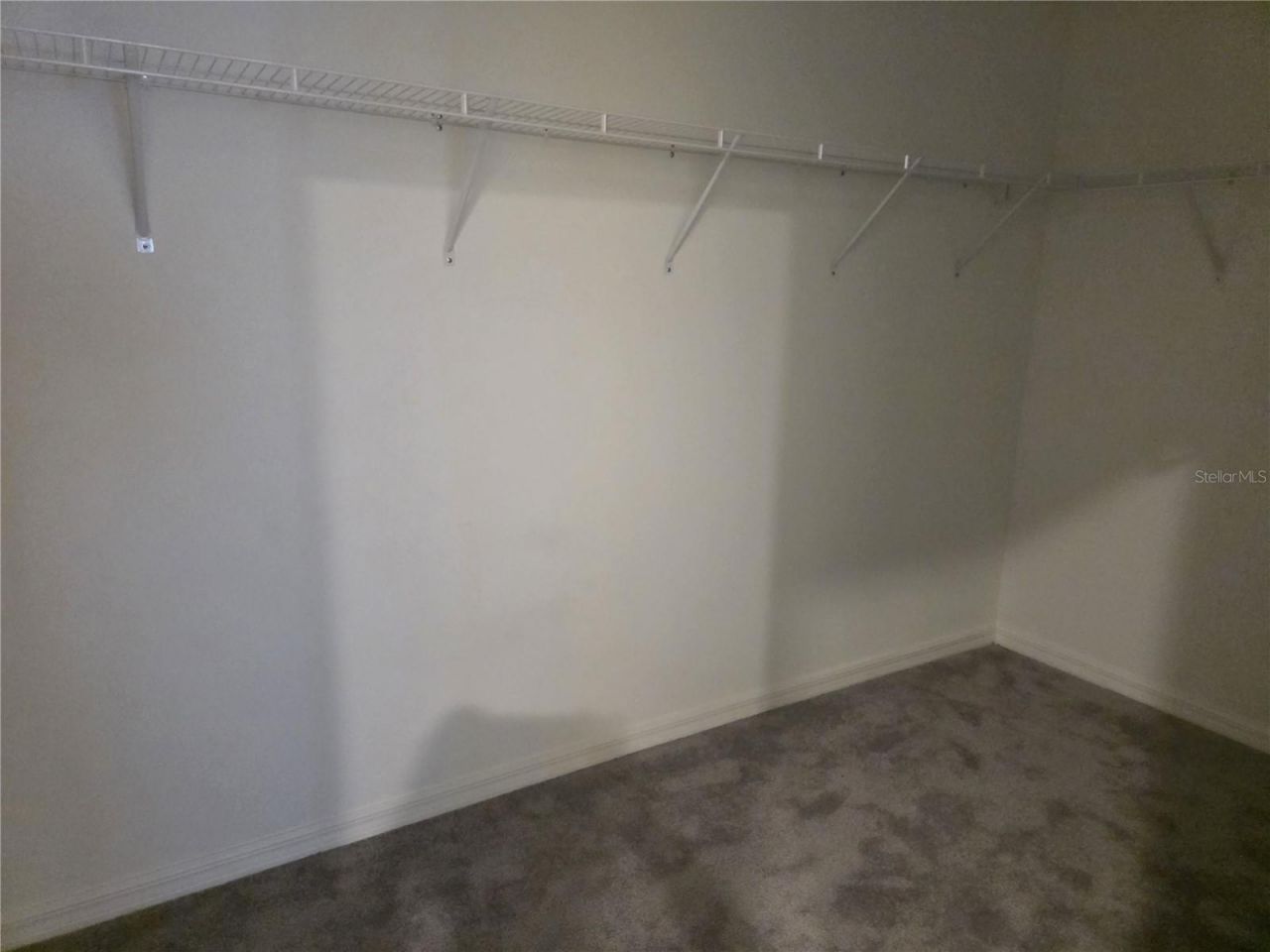 12588 Timber Moss Lane , Riverview, FL 33579 Photo