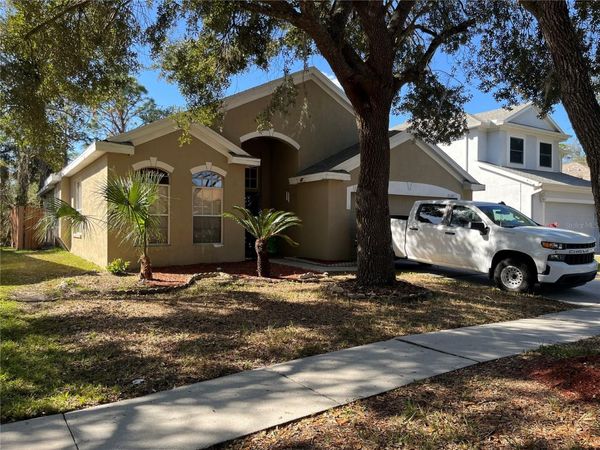 18124 ANTIETAM COURT , TAMPA, FL 33647