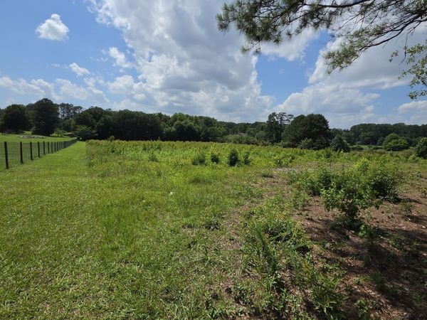 0 Trickum Creek Road, Tyrone, GA 30290