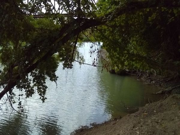 250 Hot Shot Lane, McQueeney, TX 78123