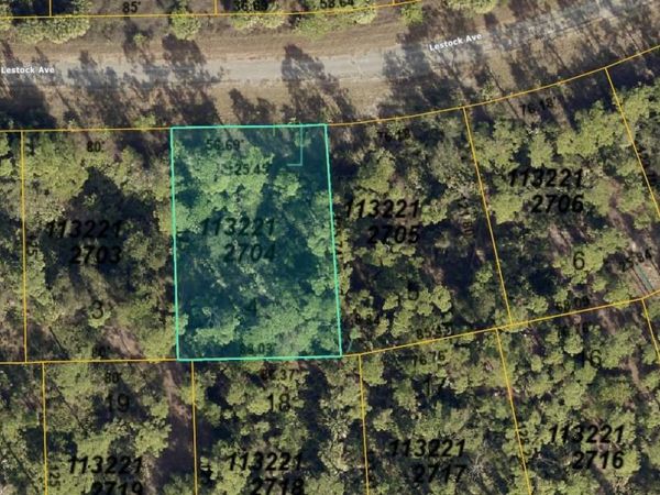 1132212704 LESTOCK AVENUE , NORTH PORT, FL 34288