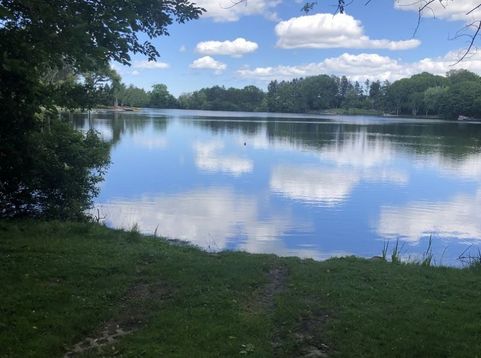 Main Photo