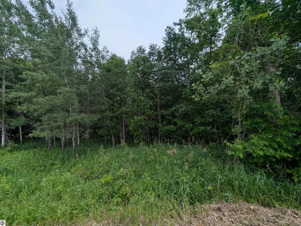 Shenfield Road, Turner, MI 48765