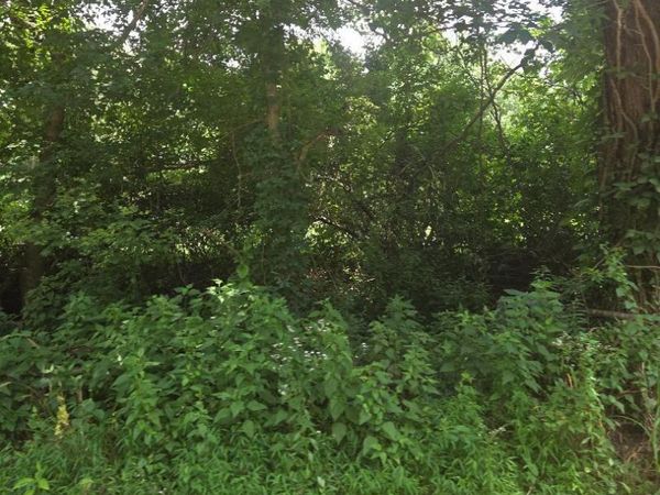 206 Old Villa Ridge Road , Mounds, IL 62964