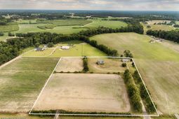 3728 Tuberville Hwy.  photo 4