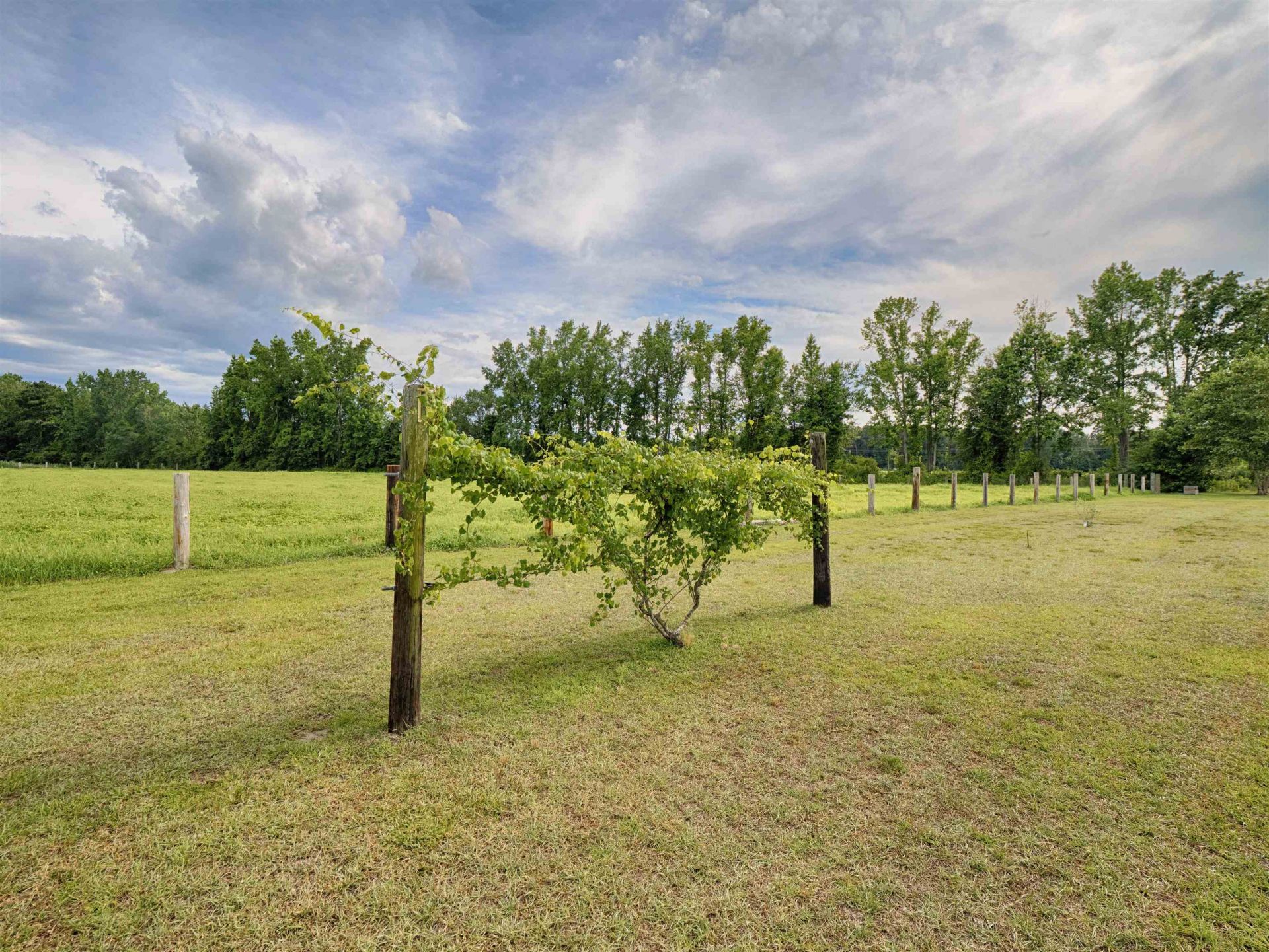3728 Tuberville Hwy.  Photo 60