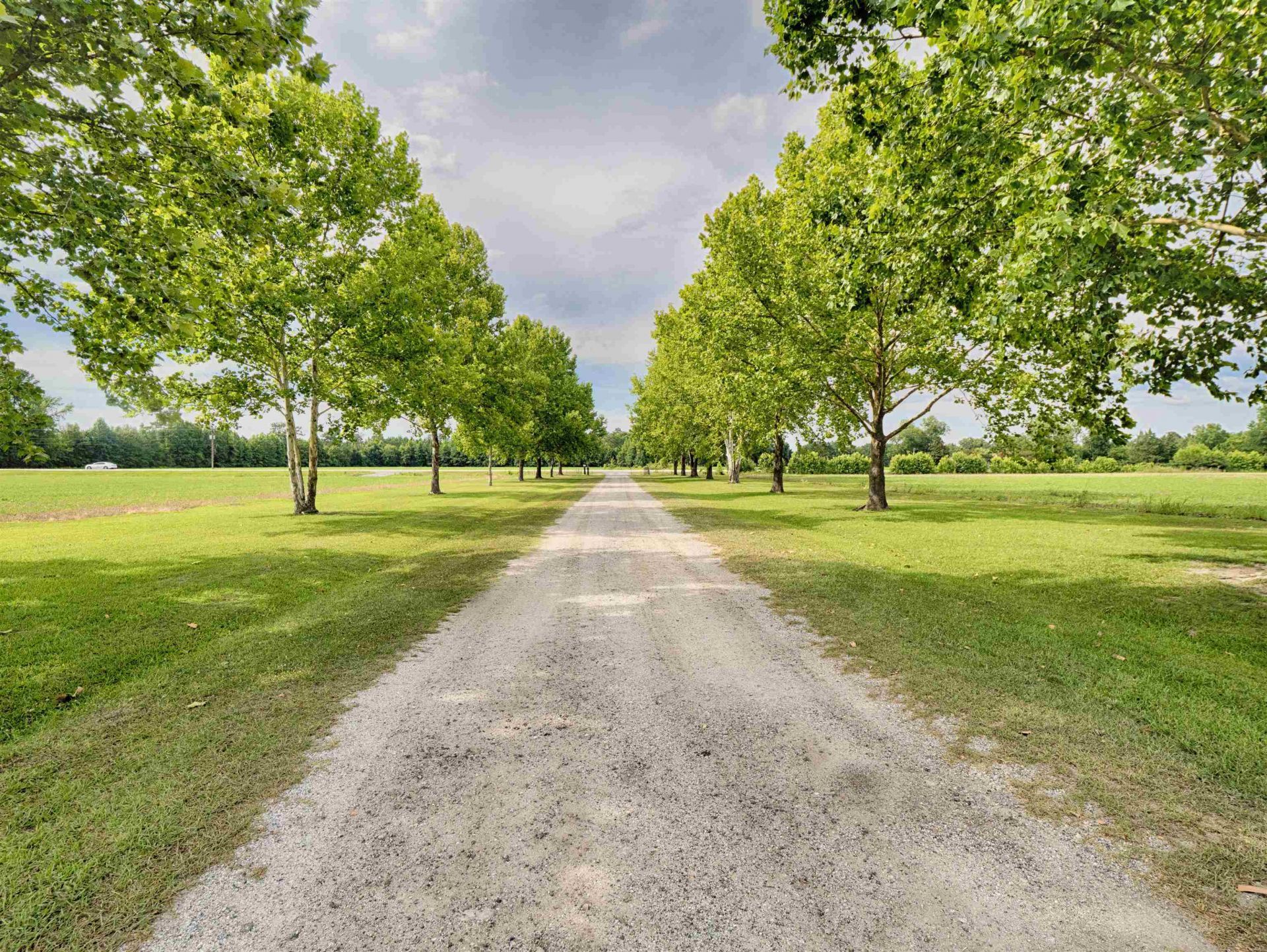 3728 Tuberville Hwy.  Photo 65