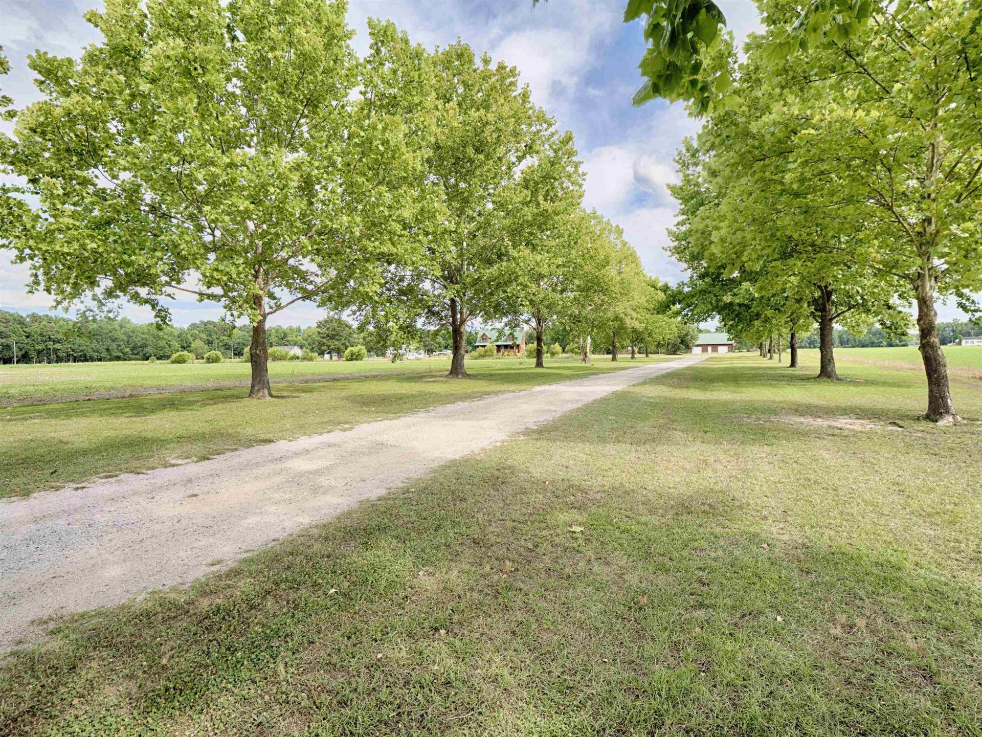 3728 Tuberville Hwy.  Photo 66