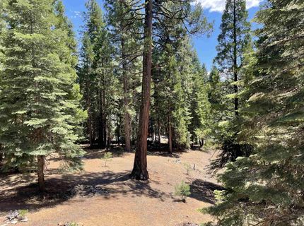 121 Top Of The West Drive, Chester, CA 00000 Photo