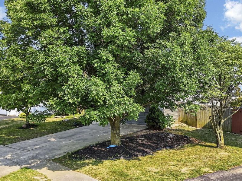 1059 Somerset Court, London, OH 43140 Photo 59
