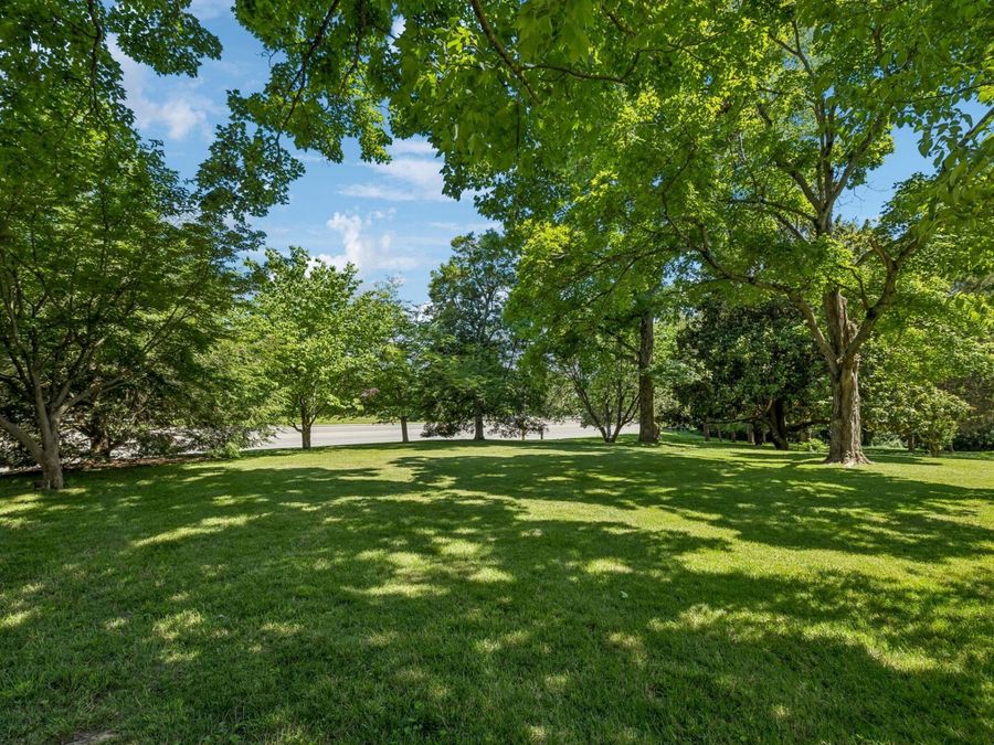 Property Image 58