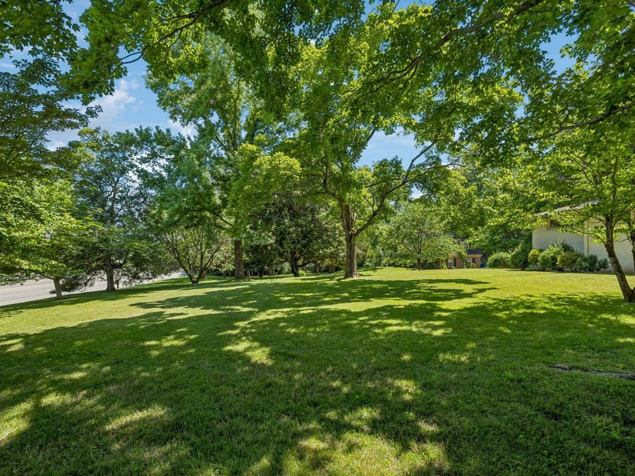 Property Image 59