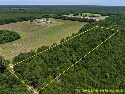 TBD 5.3 Acres Springtown Rd , Bamberg, SC 29003