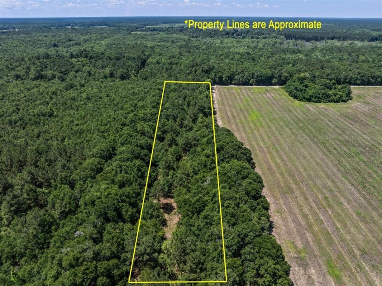 Tbd 5.3 Acres Springtown Rd  Photo 10