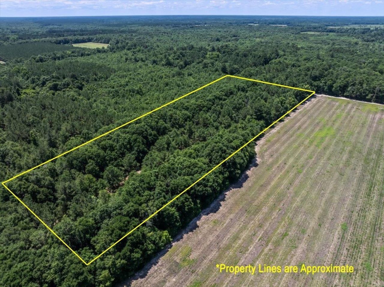 Tbd 5.3 Acres Springtown Rd  Photo 11