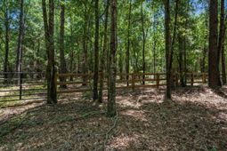 Tbd 5.3 Acres Springtown Rd  photo 4