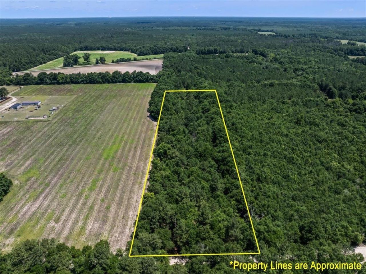 Tbd 5.3 Acres Springtown Rd  Photo 6
