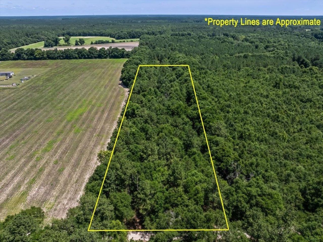Tbd 5.3 Acres Springtown Rd  Photo 7