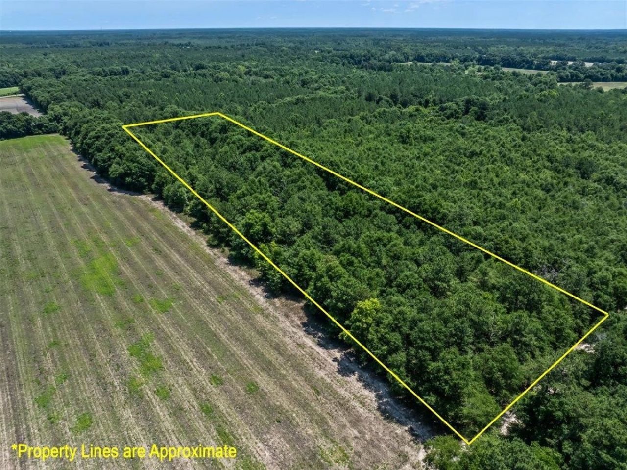 Tbd 5.3 Acres Springtown Rd  Photo 8