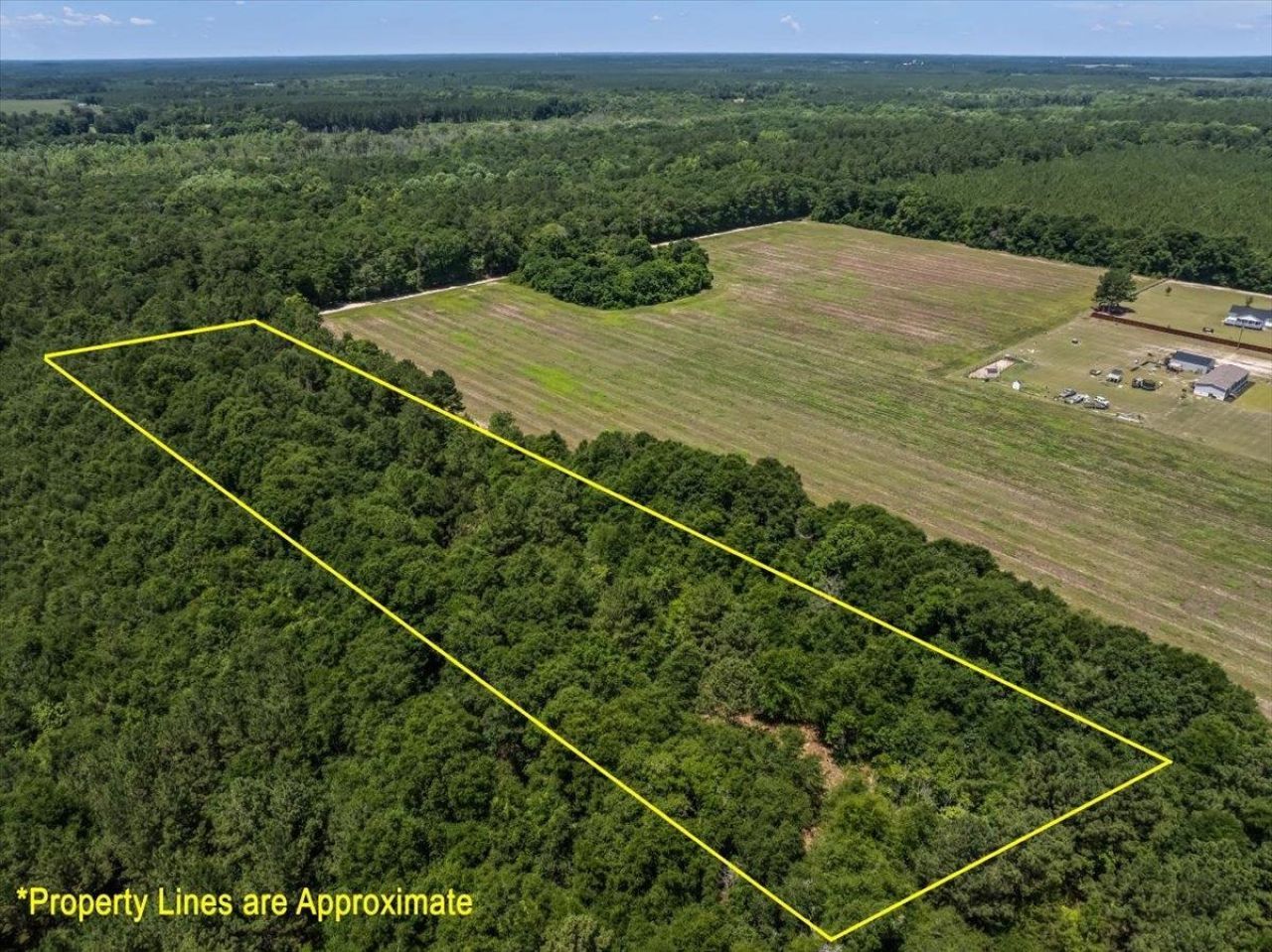 Tbd 5.3 Acres Springtown Rd  Photo 9