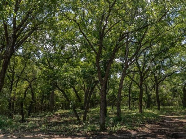 1030 Shiloh Vista Lane , Tolar, TX 76476