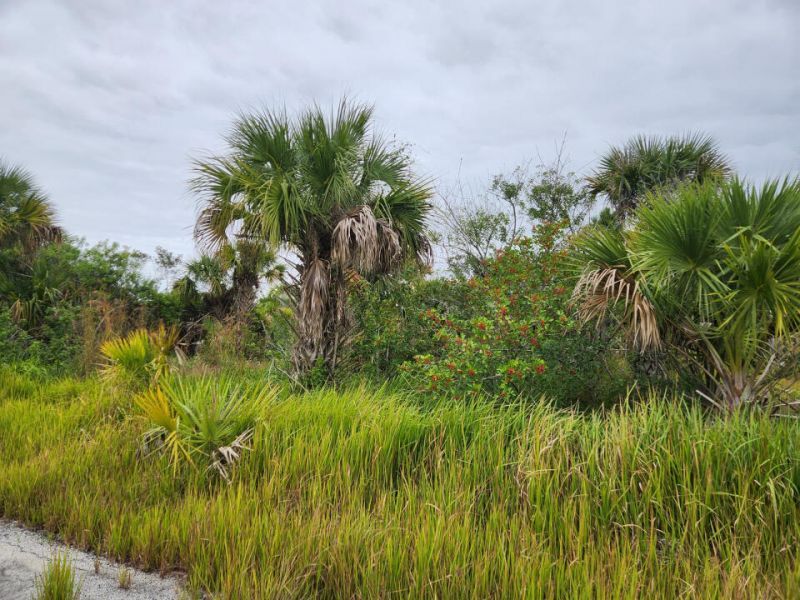 1069 Rouse Circle Sw, Palm Bay, FL 32908 Photo