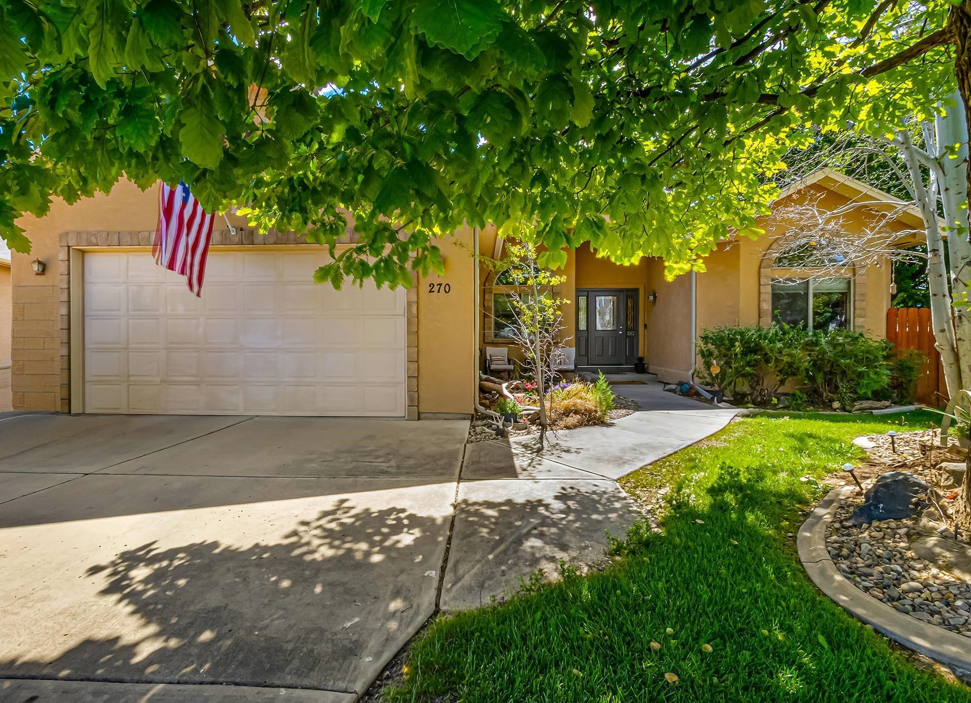 270 S Bookcliff Court, Fruita, CO 81521 Main Photo