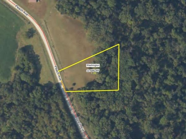 Unk Peach Avenue, Keosauqua, IA 52565