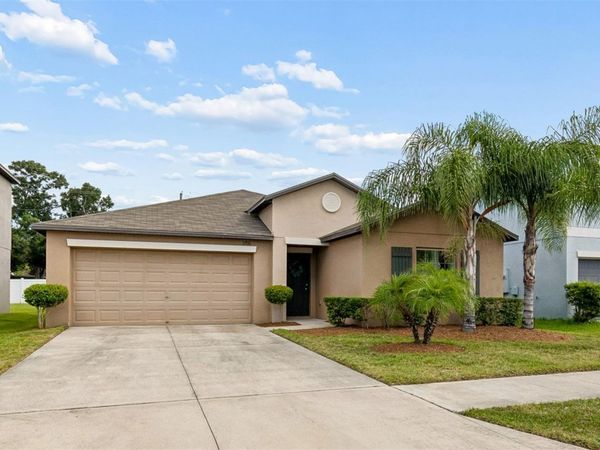 3706 CAT MINT STREET , TAMPA, FL 33619