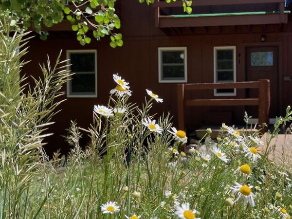 41 Poplar Circle , Silverthorne, CO 80498