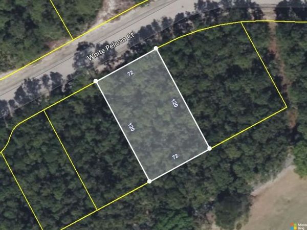118 White Pelican Way , Carrabelle, FL 32322