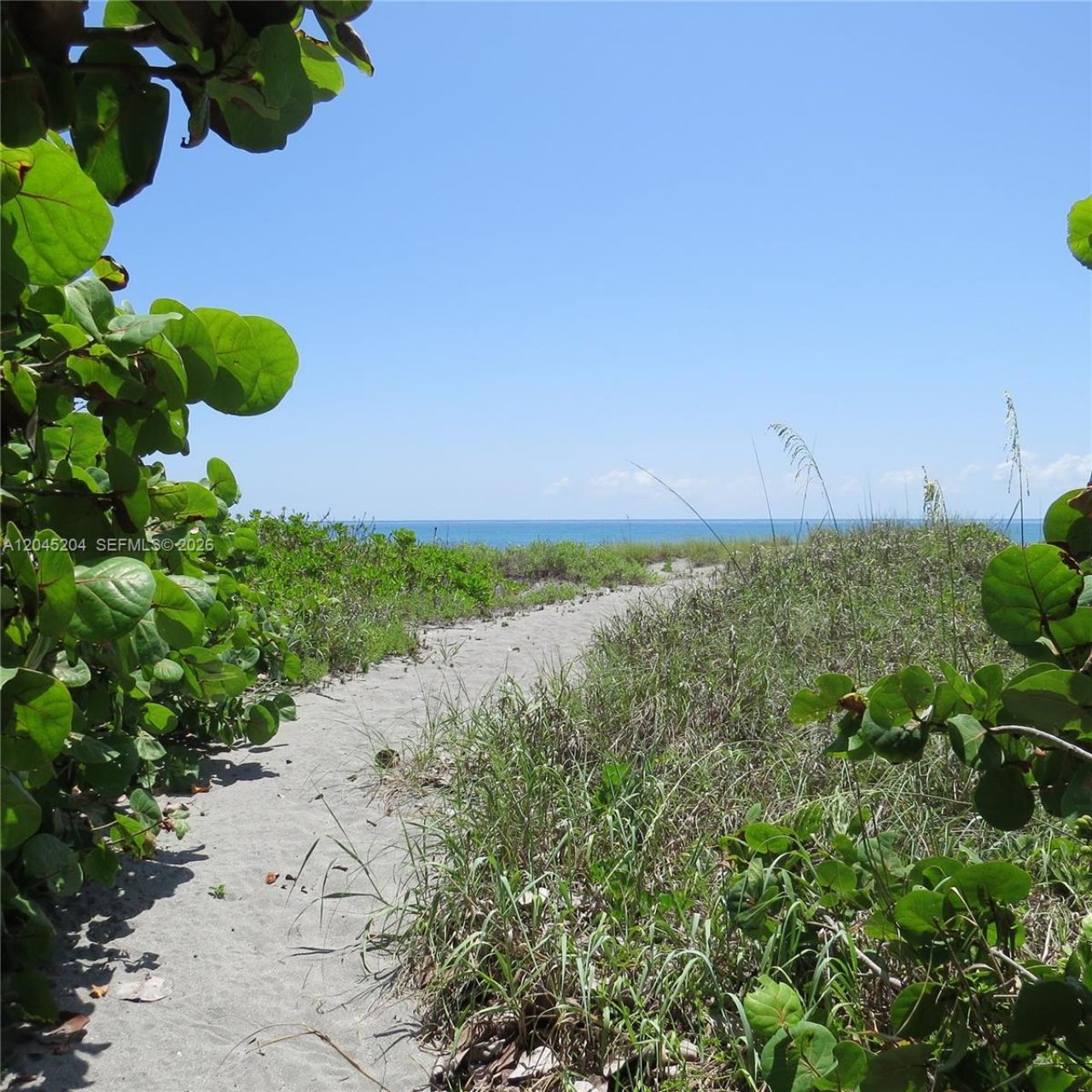 404 S Beach Rd , Unit 404, Jupiter Island, FL 33455 Photo