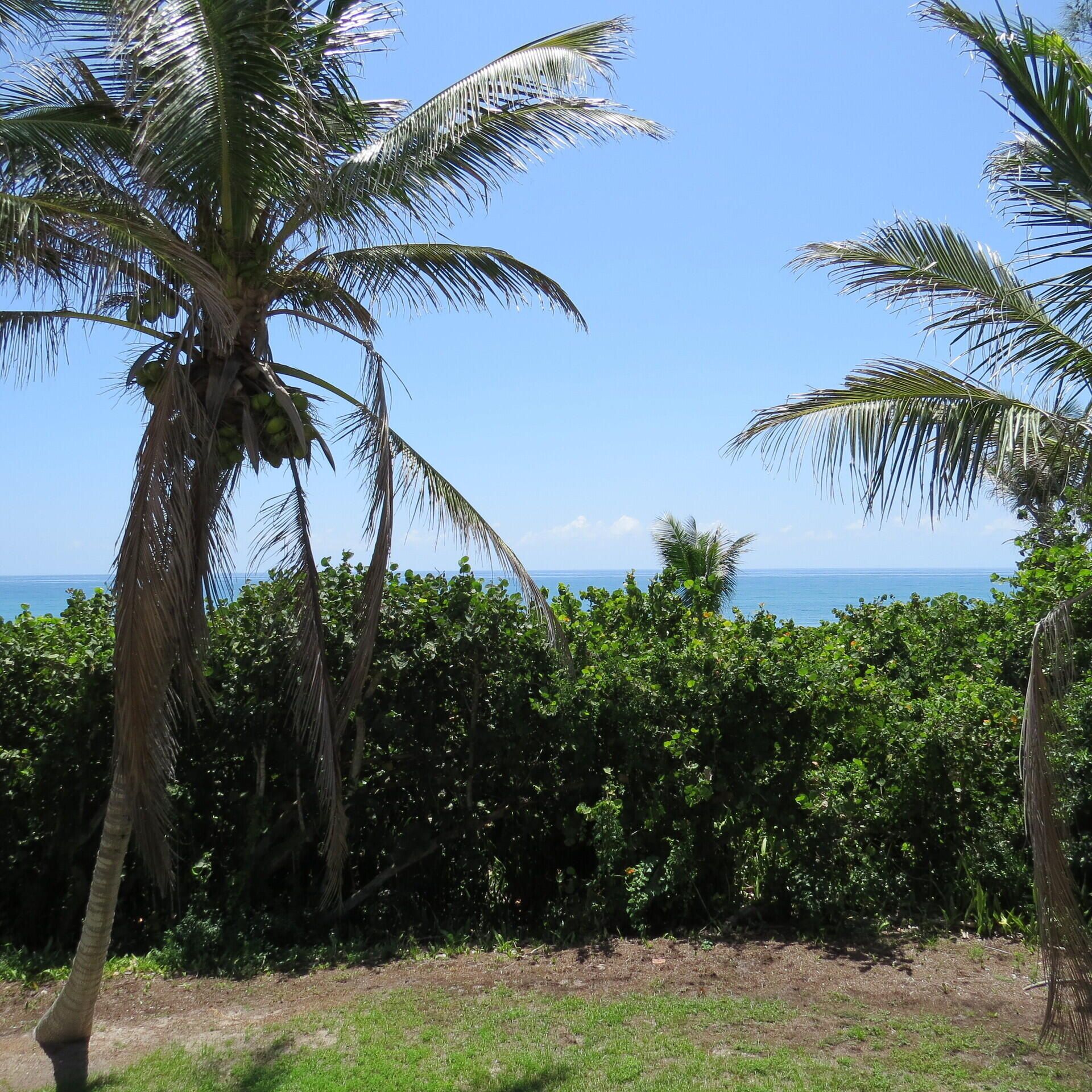404 S Beach Rd , Unit 404, Jupiter Island, FL 33455 Photo