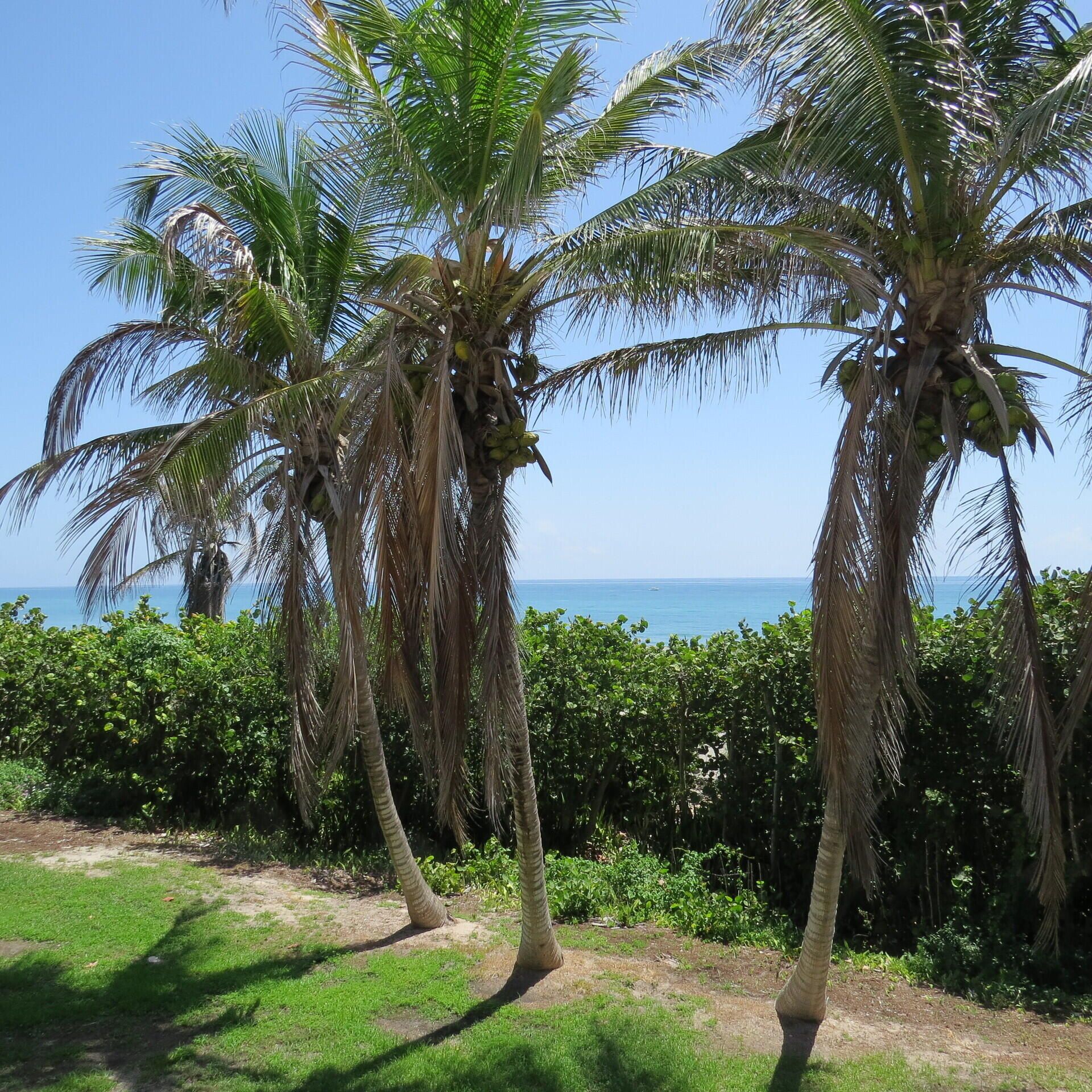 404 S Beach Rd , Unit 404, Jupiter Island, FL 33455 Photo