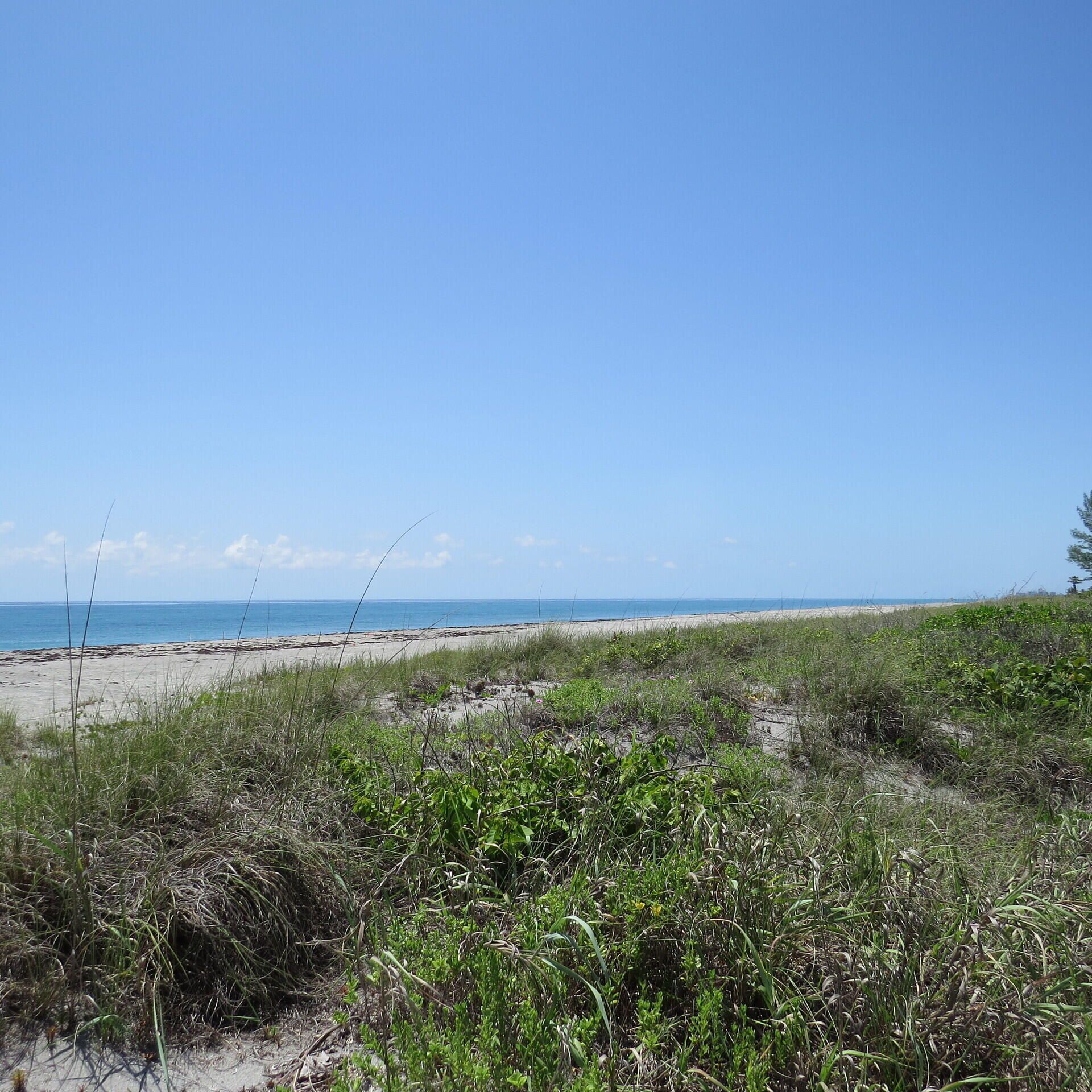 404 S Beach Rd , Unit 404, Jupiter Island, FL 33455 Photo