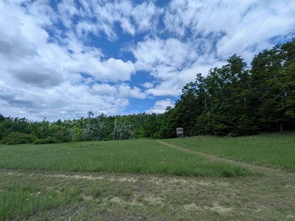 4439 Kuzmik Road, Boyne Falls, MI 49713