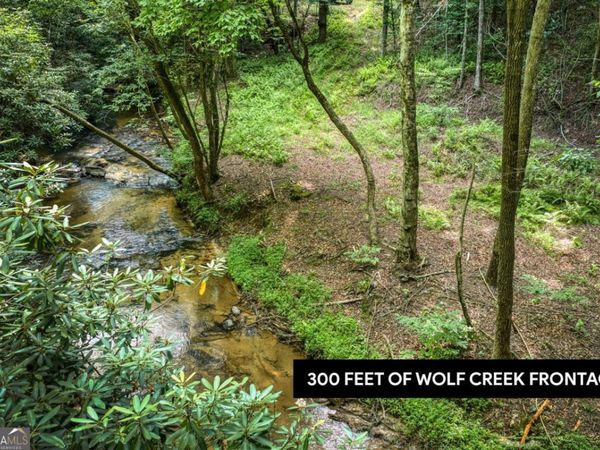 00 Mill Race Drive, Mineral Bluff, GA 30559