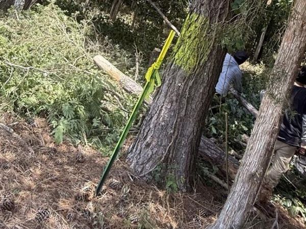 2.8 Carters Gin Road, Toney, AL 35773