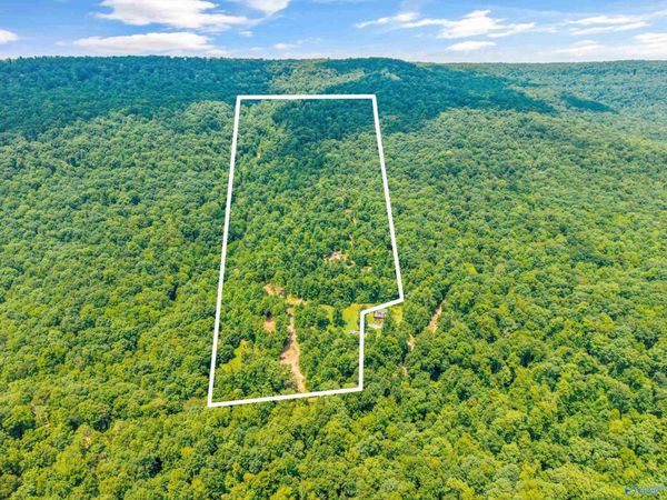 5493 County Road 4, Hollytree, AL 35741