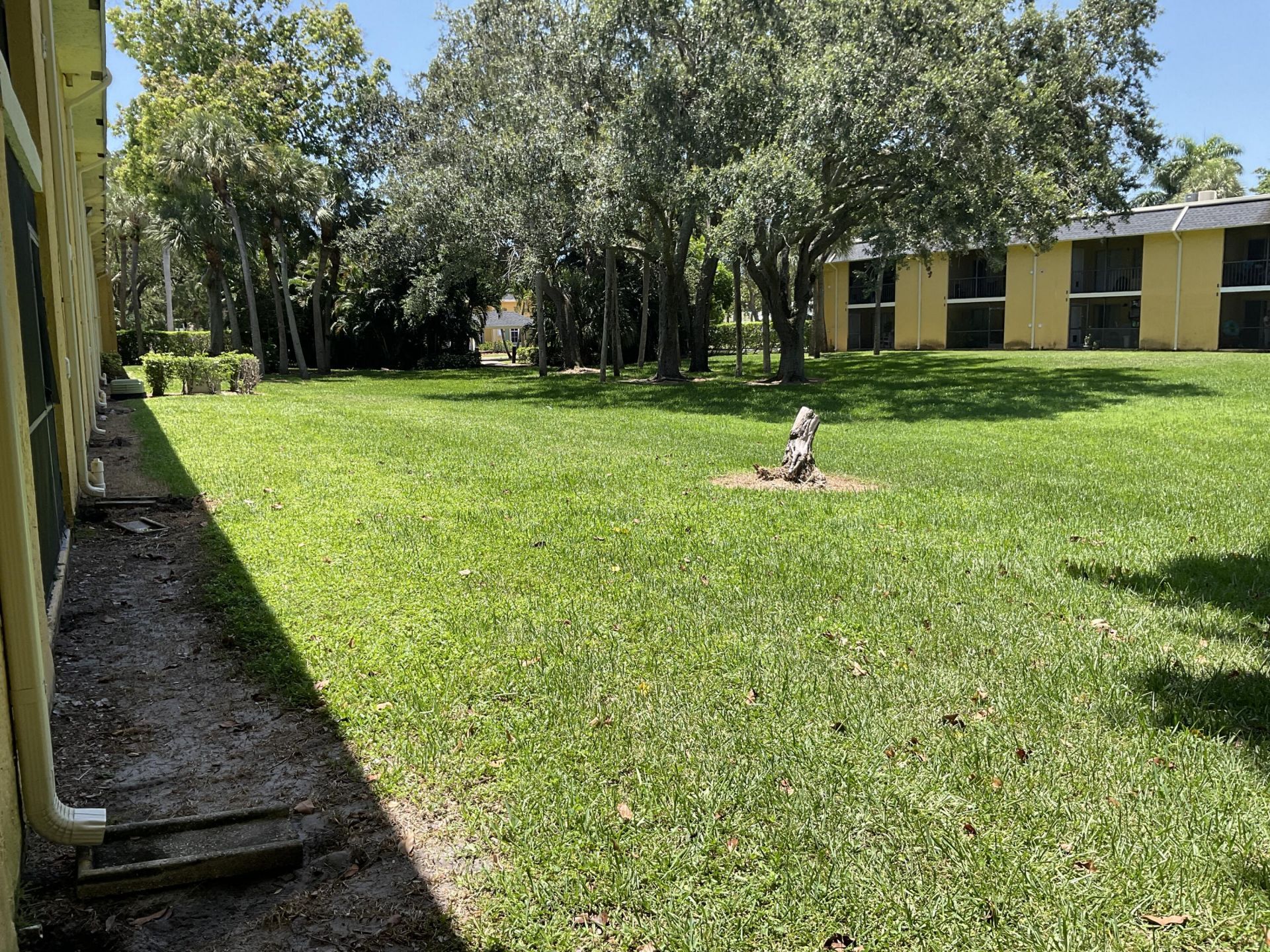 310 Meadows Circle, Boynton Beach, FL 33436 Photo