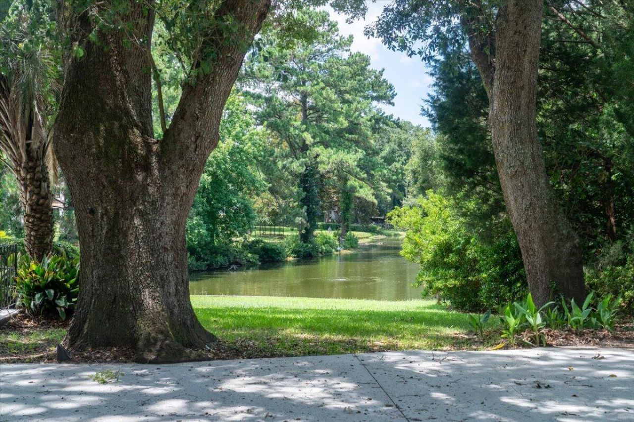 731 Knotty Pine Road Photo 31