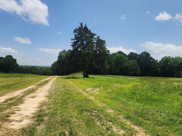 TBD (Tract 05) Whittington Homestead , Story, AR 71970