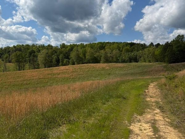 2395 Stringtown Road , Sandy Hook, KY 41171