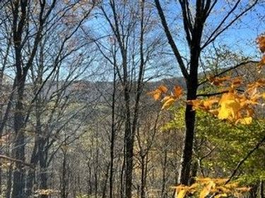 lot 149.20-2-3 Delaware Avenue, Delhi, NY 13753