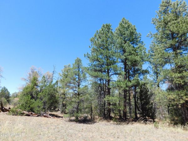 3100 PINEWOOD Drive, Unit 083B, Overgaard, AZ 85933