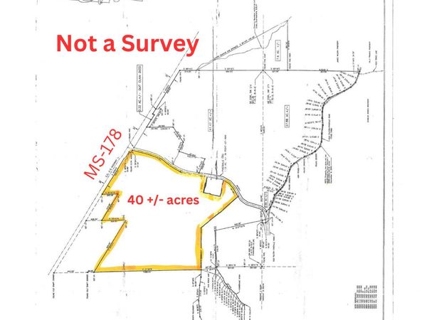 40 acres Mississippi 178, Fulton, MS 38843