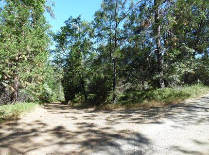 5301 Lone Star Rd, Wilseyville, CA 95257 Photo