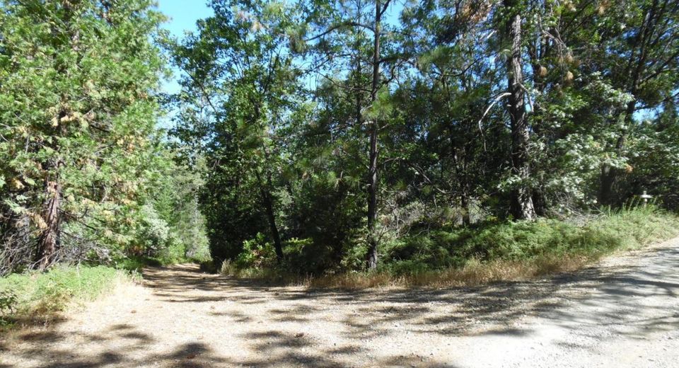 5301 Lone Star Rd, Wilseyville, CA 95257 Photo
