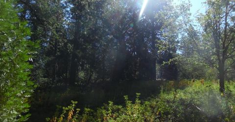 5301 Lone Star Rd, Wilseyville, CA 95257 Photo